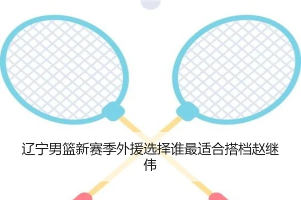 辽宁男篮新赛季外援选择谁最适合搭档赵继伟